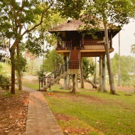 Isola Di Cocco Ayurvedic Beach Resort Poovar Bagian luar foto