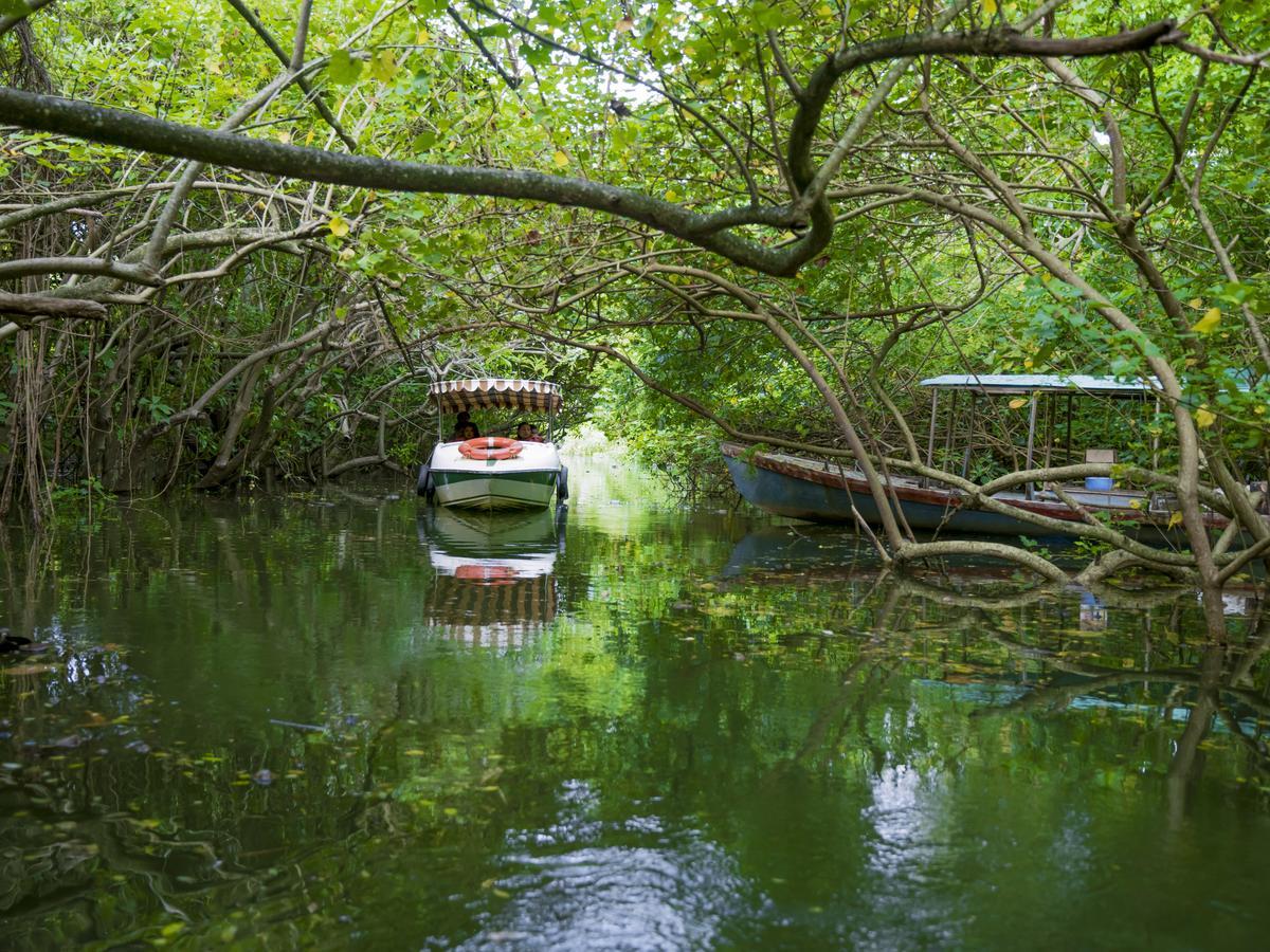 Isola Di Cocco Ayurvedic Beach Resort Poovar Bagian luar foto